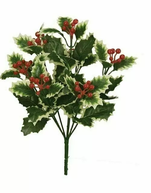SBX1001 – 13” Variegated holly x7 – Min 12 Pcs – Case Pk 288