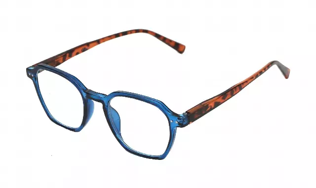 R6064 vintage reading glasses — +1.50(1dz)