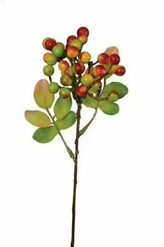 SS2012F – 15” tu-tone berry cluster stem-Min 1 dz – Case Pack 24
