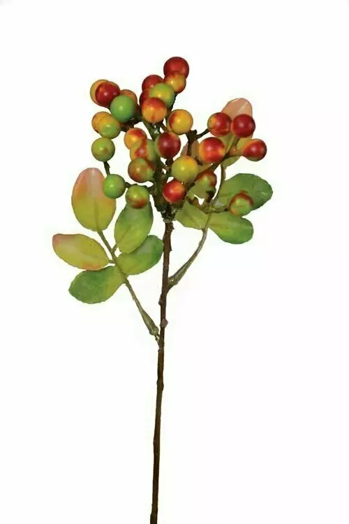 SS2012F – 15” tu-tone berry cluster stem-Min 1 dz – Case Pack 24