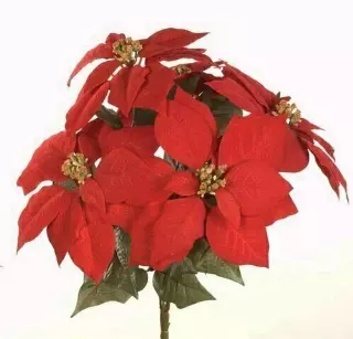 CEX04401RED – 18” Velvet Poinsettia bush x5- Min 12 pcs- Case pk 120 pcs