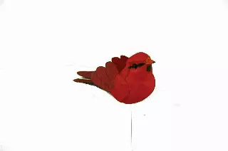 DPX1012 – 3” Red Cardinal on pick “DZ” Min 1 dz – Case 120 dozen