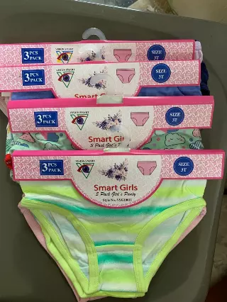 Wholesale Lot Of 576 Packs Of Girls Panties By Smart Girls – 3 Pairs In A Pack – 100% Cotton – Sizes 4-14 – Only $2.00 Per Pack