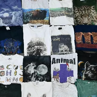 Wholesale Animal Graphic T-Shirts (10 Pieces)