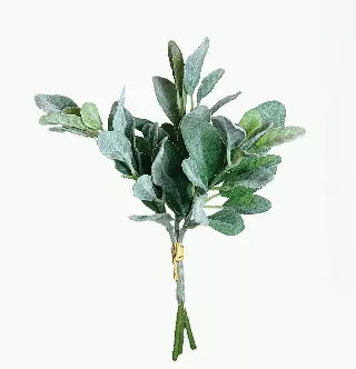 SBG6103GN – 14” Lambs Ear Bundle-“each” (Min 12) Case Pk 24