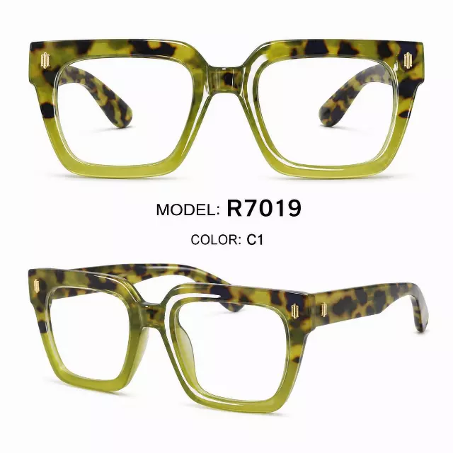 R7019 — ASSORT POWER