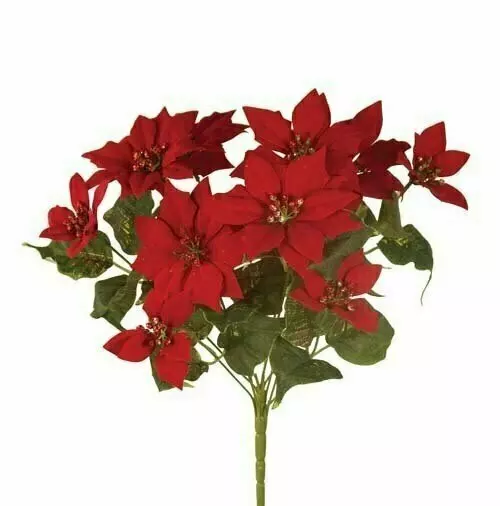 SBX3002RD – 17” Velvet Poinsettia x11 with glitter center- Min 12 Pcs- Case Pk: 96