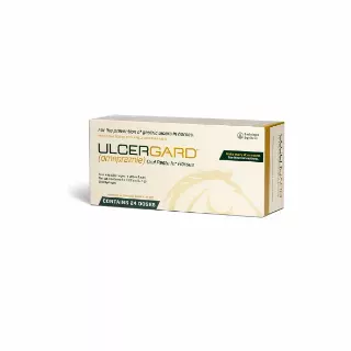 Ulcergard Oral Paste Syringe - 6 Pack