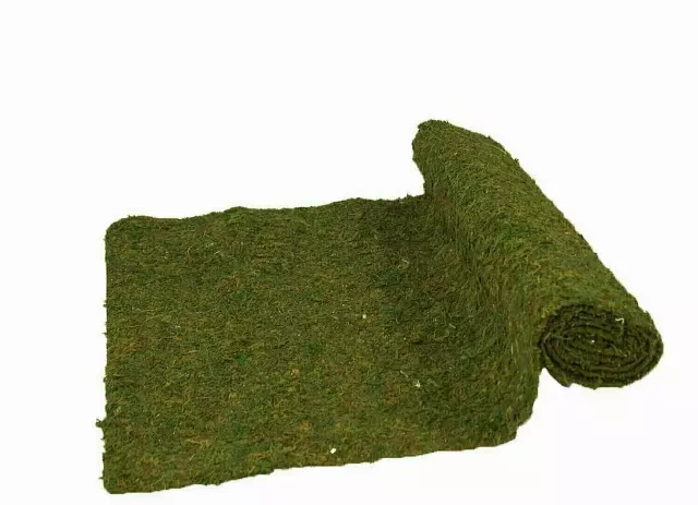 22430 – 18” x 48” Preserved mat sheet moss (roll) Min 1 roll – Case 12 Rolls