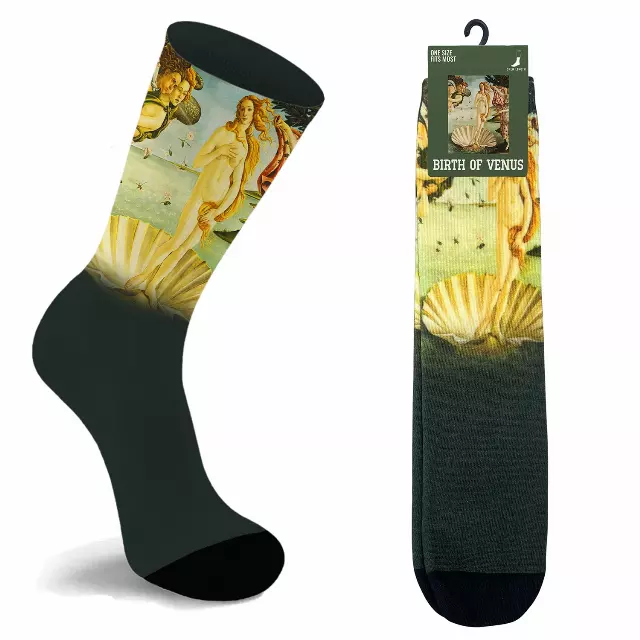 Funky Art Socks – Famous Painting Design (Unisex) — Birth of Venus