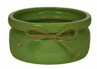 CP5207-8GRN – 8” Ceramic Dish garden-“case pk 8”
