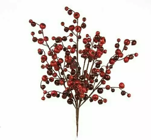 SBX1030 – 24” Mix Crabapple bush x7- Min 6 – Case pk 48