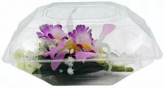 FS954 – 9”x5”x4” deep Corsage box (100 ct)-“Box”
