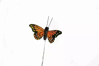 DP1028OR – 3” Monarch butterfly “DZ” – Min 1 dz – Case 120 dozen