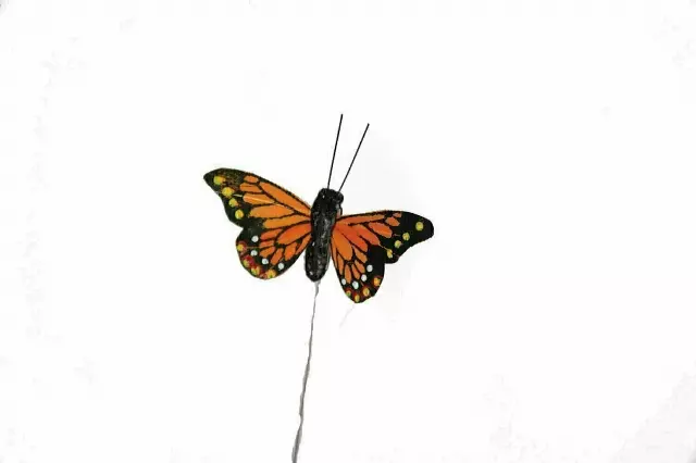 DP1028OR – 3” Monarch butterfly “DZ” – Min 1 dz – Case 120 dozen