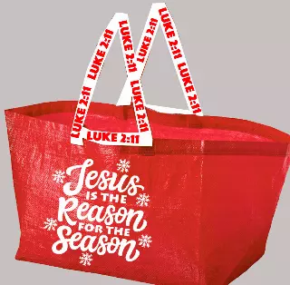 Christmas Profit Bags (21"x15"x14") — 5 pack