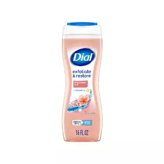 DIAL BW HIMALAYAN SALT 16 OZ CASE PACK 6