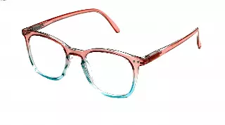 R6069 Classic unisex reading glasses — +3.00(12PCS)