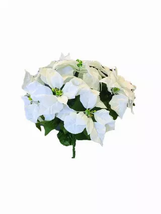 SBX3001WT – 20” Large White nat. touch poinsettia bush x 7 (SPECIAL)- Min 6 – Case Pk 24