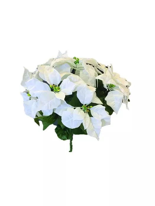 SBX3001WT – 20” Large White nat. touch poinsettia bush x 7 (SPECIAL)- Min 6 – Case Pk 24