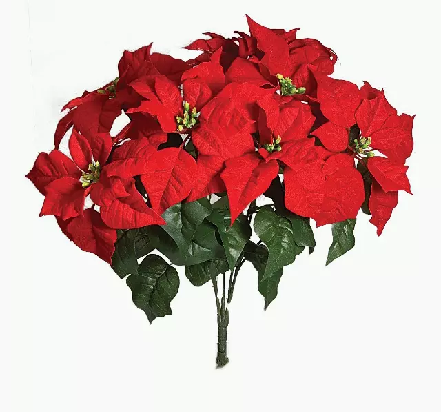 SBX3001RD – 20” Large Red poinsettia bush x 7-Min 6 – Case Pk 24