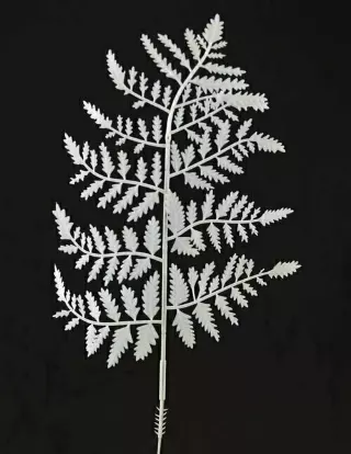 PLX2004WT – 10” White plastic fern (Gross) Min 2 gross- Case Pk 20 Gross