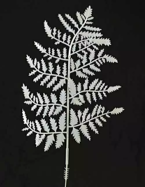 PLX2004WT – 10” White plastic fern (Gross) Min 2 gross- Case Pk 20 Gross