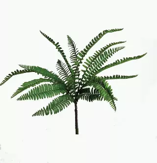 SBG6101GN – 18”Natural look fern bush x 6-“each” (Min 12) Case Pk. 24