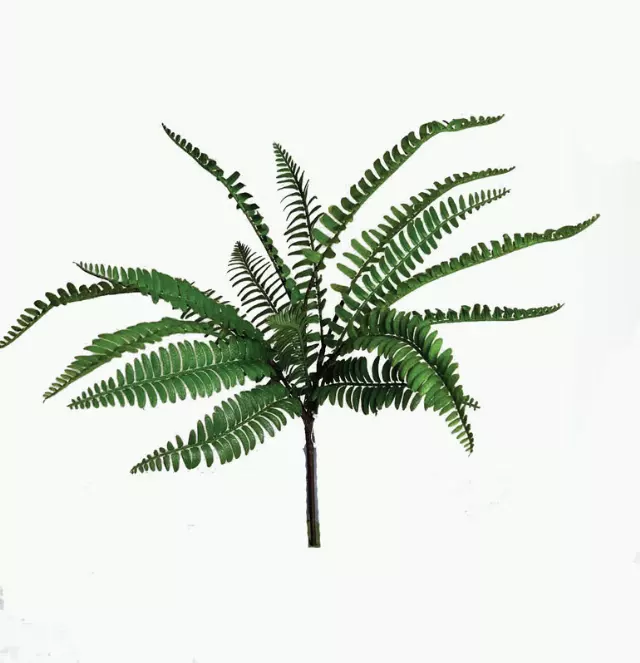 SBG6101GN – 18”Natural look fern bush x 6-“each” (Min 12) Case Pk. 24