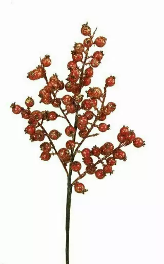 SSX2011Red – 14” Berry Spray w/ Glitter- Min 12 pcs – Case Pk 288