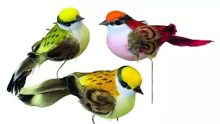 DP2016 – 4” assorted color bird on wire pick “DZ” Min 1 DZ – Case 72 Dozen