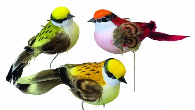 DP2016 – 4” assorted color bird on wire pick “DZ” Min 1 DZ – Case 72 Dozen