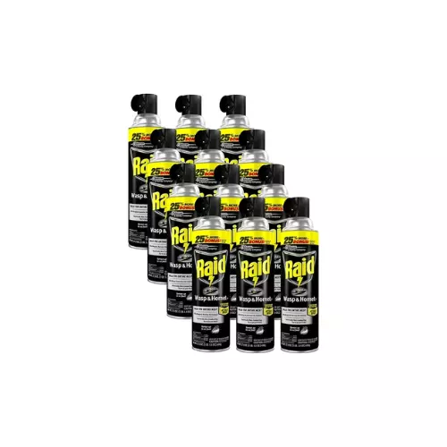 Raid Wasp & Hornet Killer Spray – 17.5oz, 12-Pack