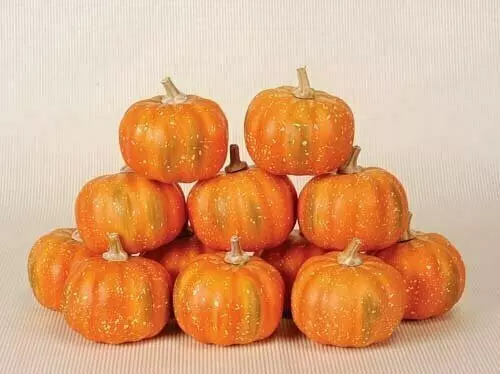 SBF2006 – 3.5” small pumpkins (boxed 1dz)- Min 1 dz- case pk 36 dz