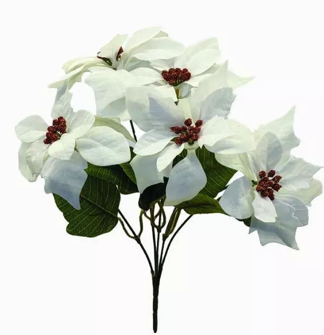 SBX04103WT – 5″ White Velvet Poinsettia x5- “each”- Min 24 Pcs – Case Pk 288 Pcs