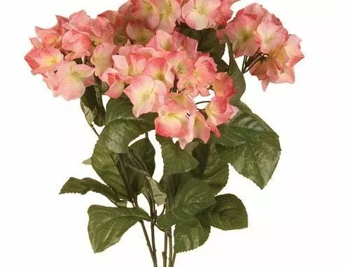 SB0301PINK – 23″ Hydrangea Bush x5-“each” (Min. 2)- Case Pk 36 pcs