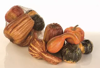 CEF04460 – 6 Asst. Nylon bag gourd asst- Min 6 bags, Case pk 36
