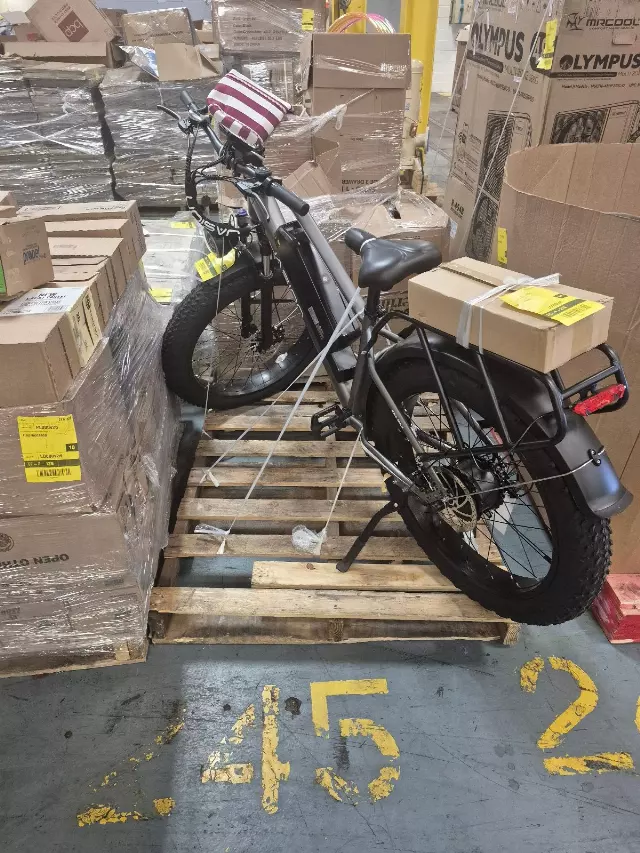 245: E Bike PL000V6C