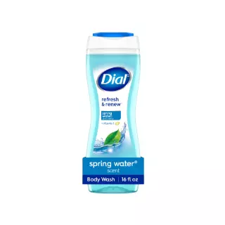 DIAL BODY WASH SPRING WATER & VITAMIN E 16 OZ CASE PK 6