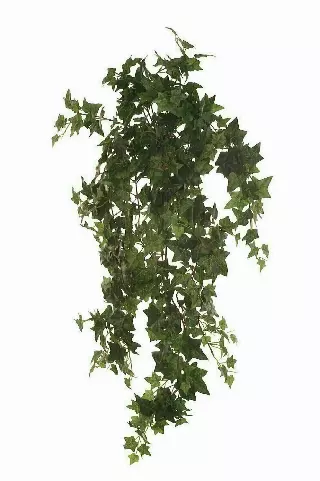 SBG6109GRN – 36” Hanging Bush x15 – “each” (Min. 6) Case Pk. 36 Pcs.
