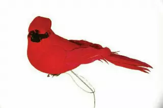 DPX3000 – 6” Red Cardinal w/wire “dz”-Min 1 DZ – Case Pk 60 DZ