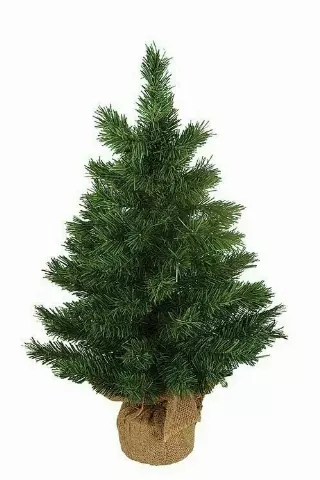 PPX6000-24 – 24” Pine tree w/ burlap base- Min 2 pcs – Case Pk 6 pcs