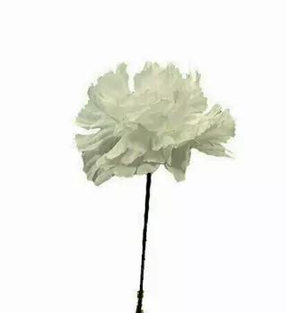 S3000WHITE – Carnation pick (1 box 100pcs) (Min. 1 Box)