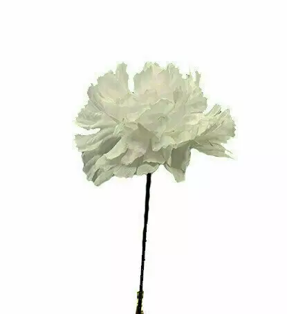 S3000WHITE – Carnation pick (1 box 100pcs) (Min. 1 Box)