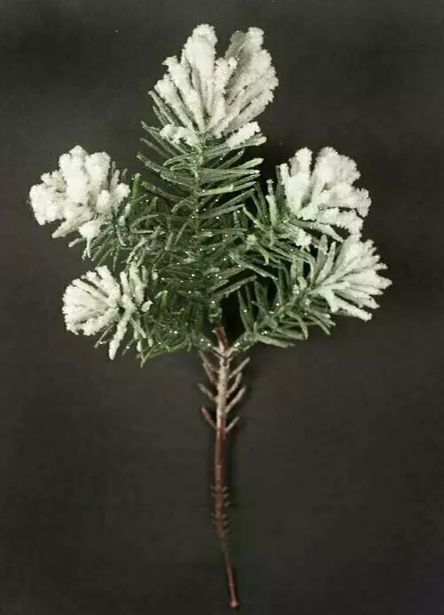 PPX9075 – 10” Snow tip angel pine pick-Min 2 dz- Case Pk 120