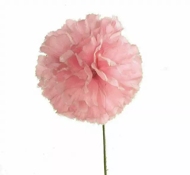 S3000PINK – Carnation pick (1 box 100pcs)
