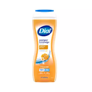 DIAL BODY WASH PAMPER & INDULGE MANUKA HONEY 16 OZ CASE PK 6