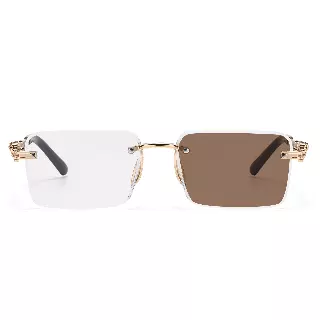 Rimless Photochromic Square Sunglasses with Dragon Detail Temples T11109
