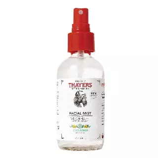 WHOLESALE THAYER'S ALCOHOL-FREE CUCUMBER WITCH HAZEL FACIAL MIST 4 OZ - 48 PIECE LOT