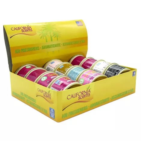 CALIFORNIA SCENTS AIR FRESHENERS 1 CT ASSORTED CAN — Single